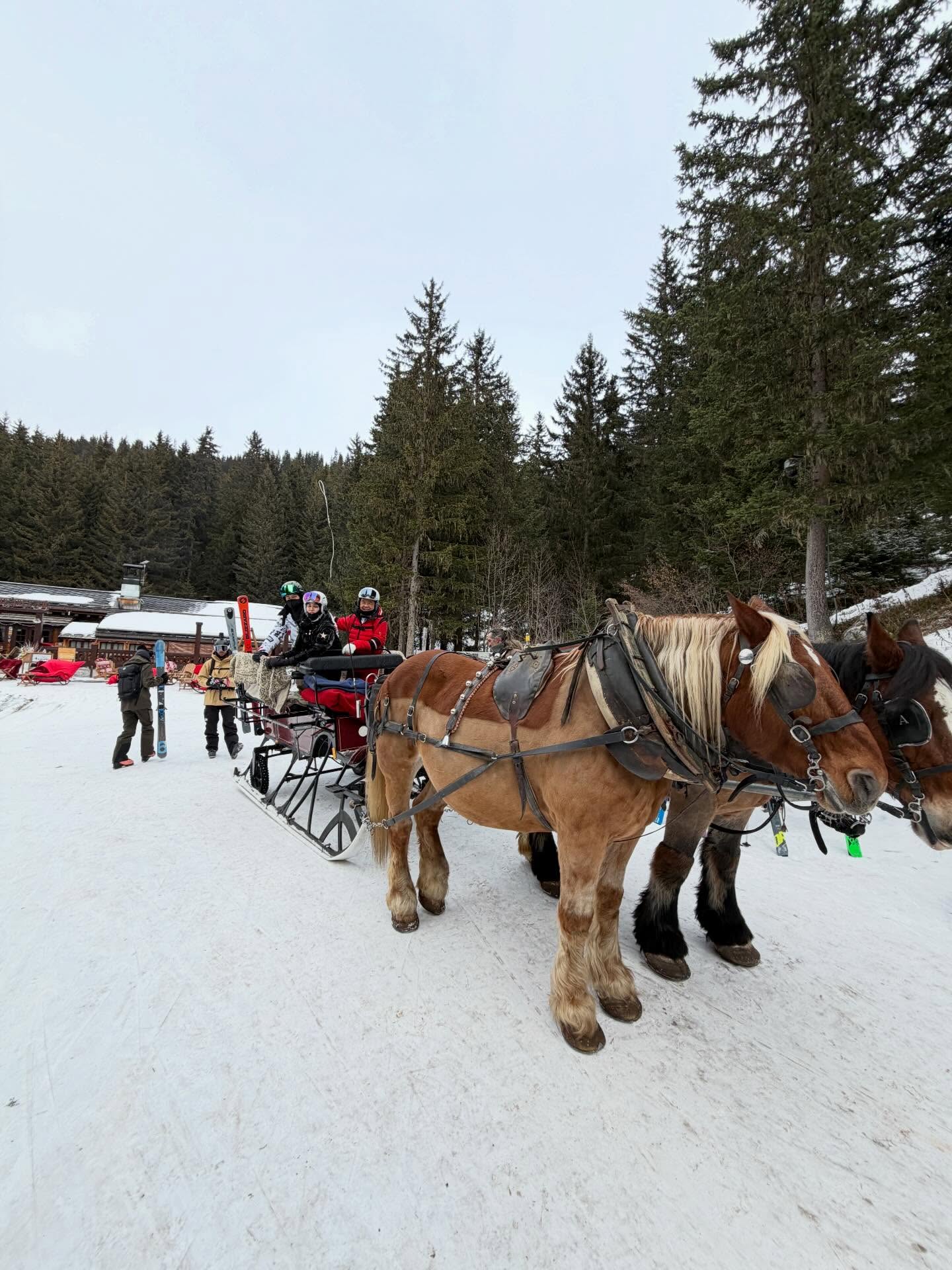 เบนซ์ - ปุณยาพร พูลพิพัฒน์