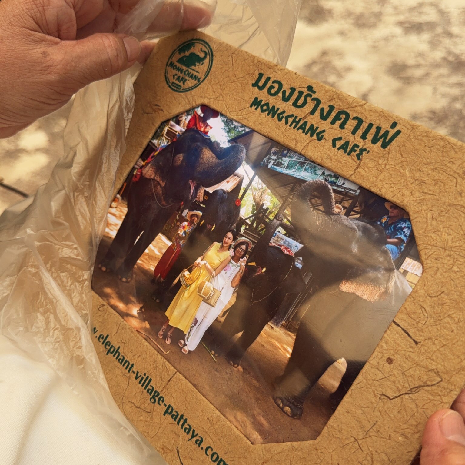 เบนซ์ - ปุณยาพร พูลพิพัฒน์