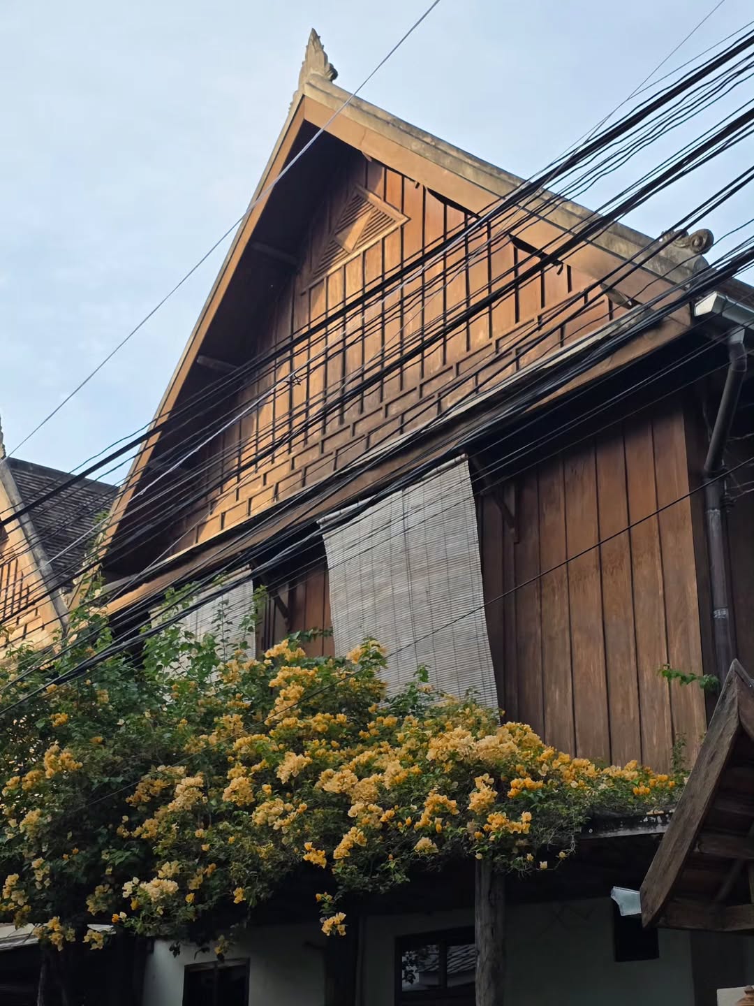 เต - ตะวัน วิหครัตน์