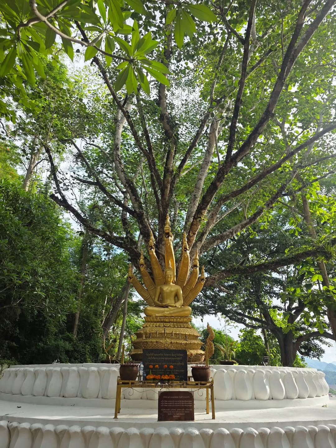 เต - ตะวัน วิหครัตน์