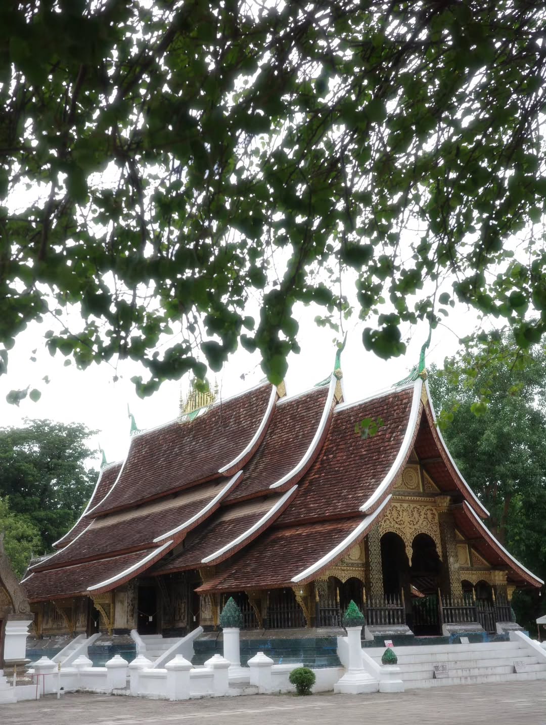 เต - ตะวัน วิหครัตน์