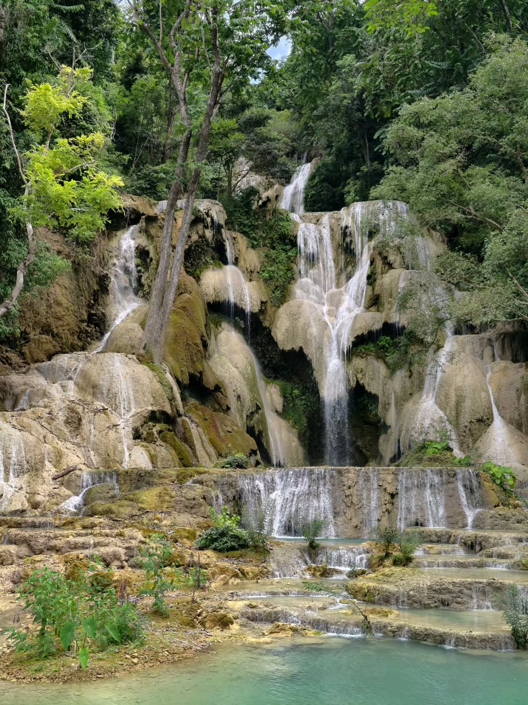 เต - ตะวัน วิหครัตน์