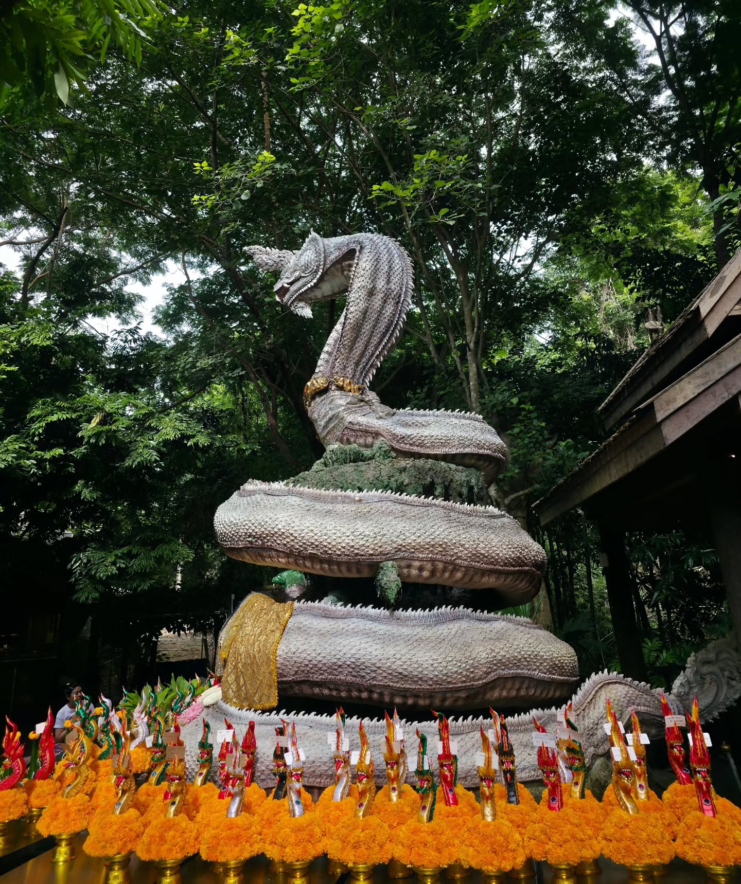 เต - ตะวัน วิหครัตน์
