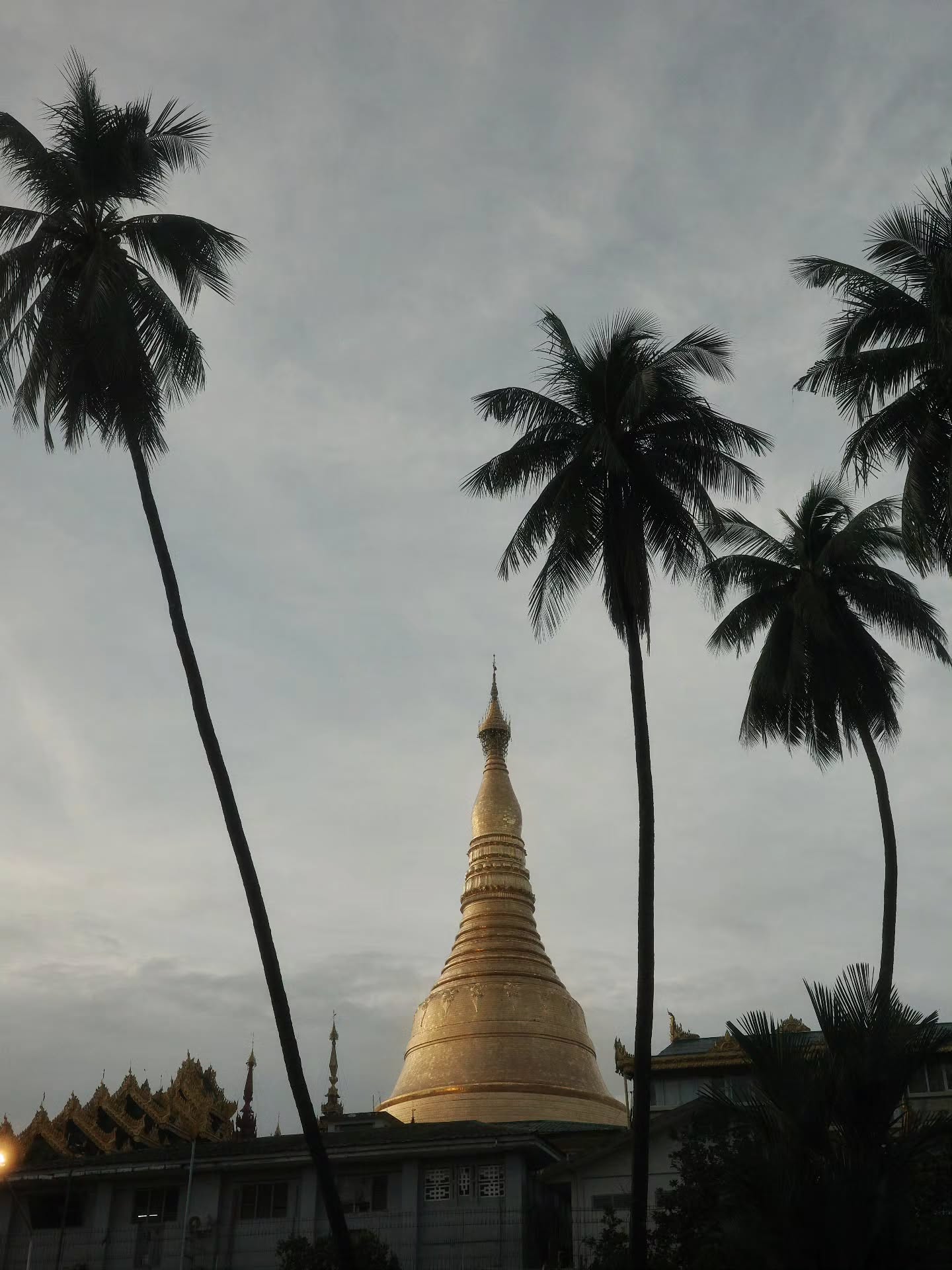 เต - ตะวัน วิหครัตน์