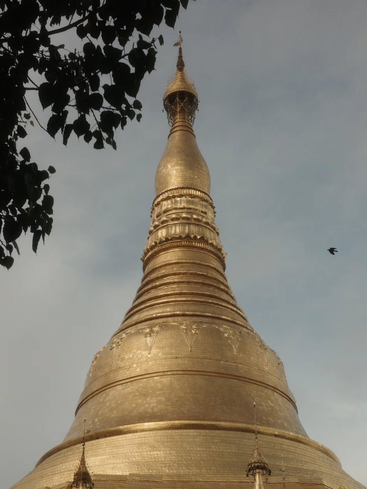 เต - ตะวัน วิหครัตน์