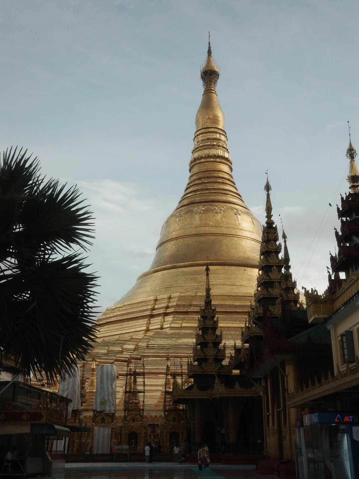 เต - ตะวัน วิหครัตน์