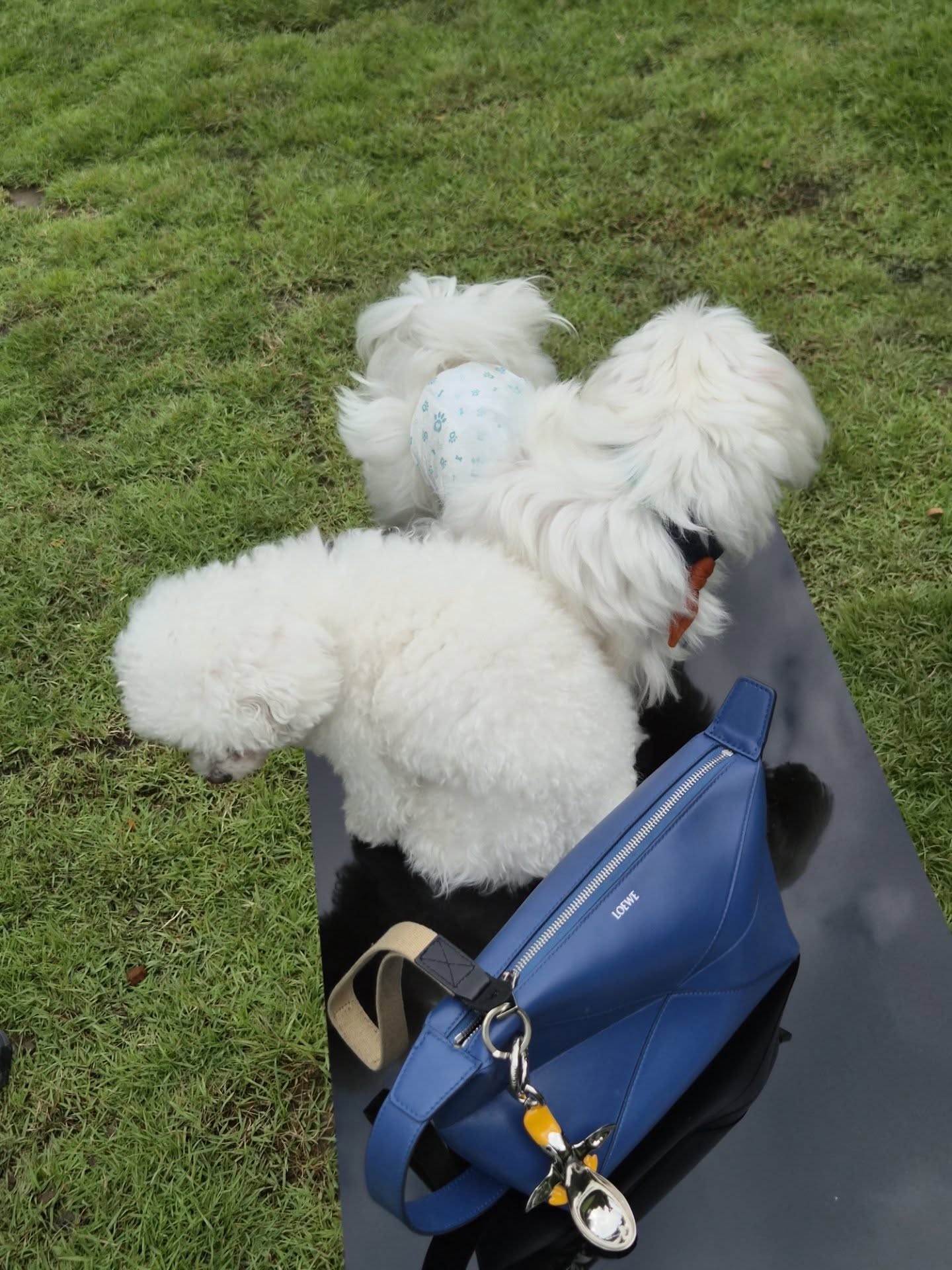 เต - ตะวัน วิหครัตน์