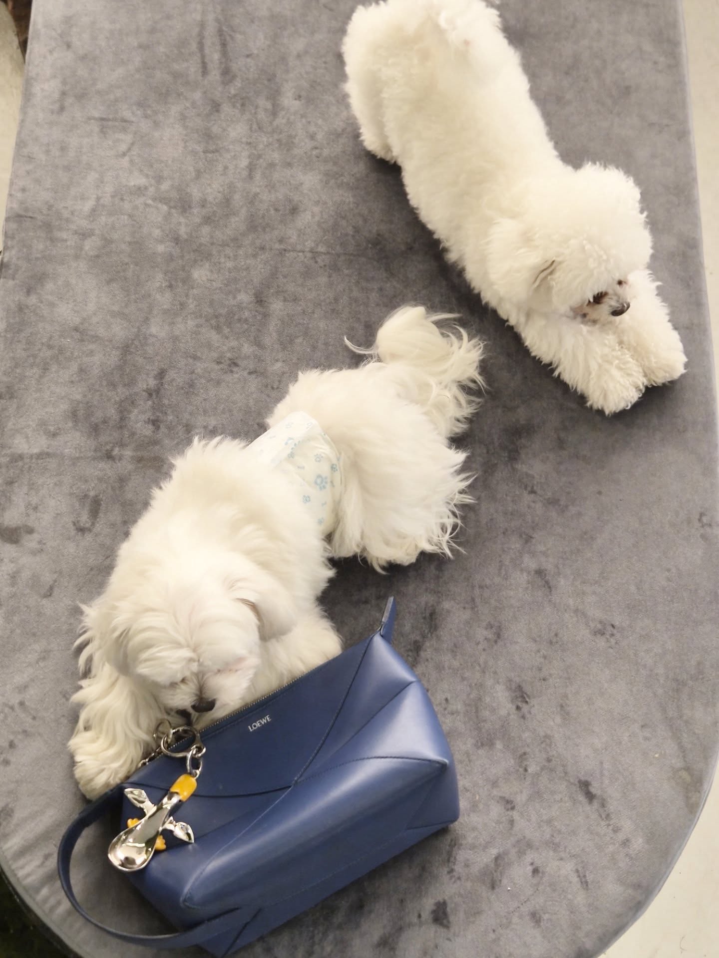 เต - ตะวัน วิหครัตน์