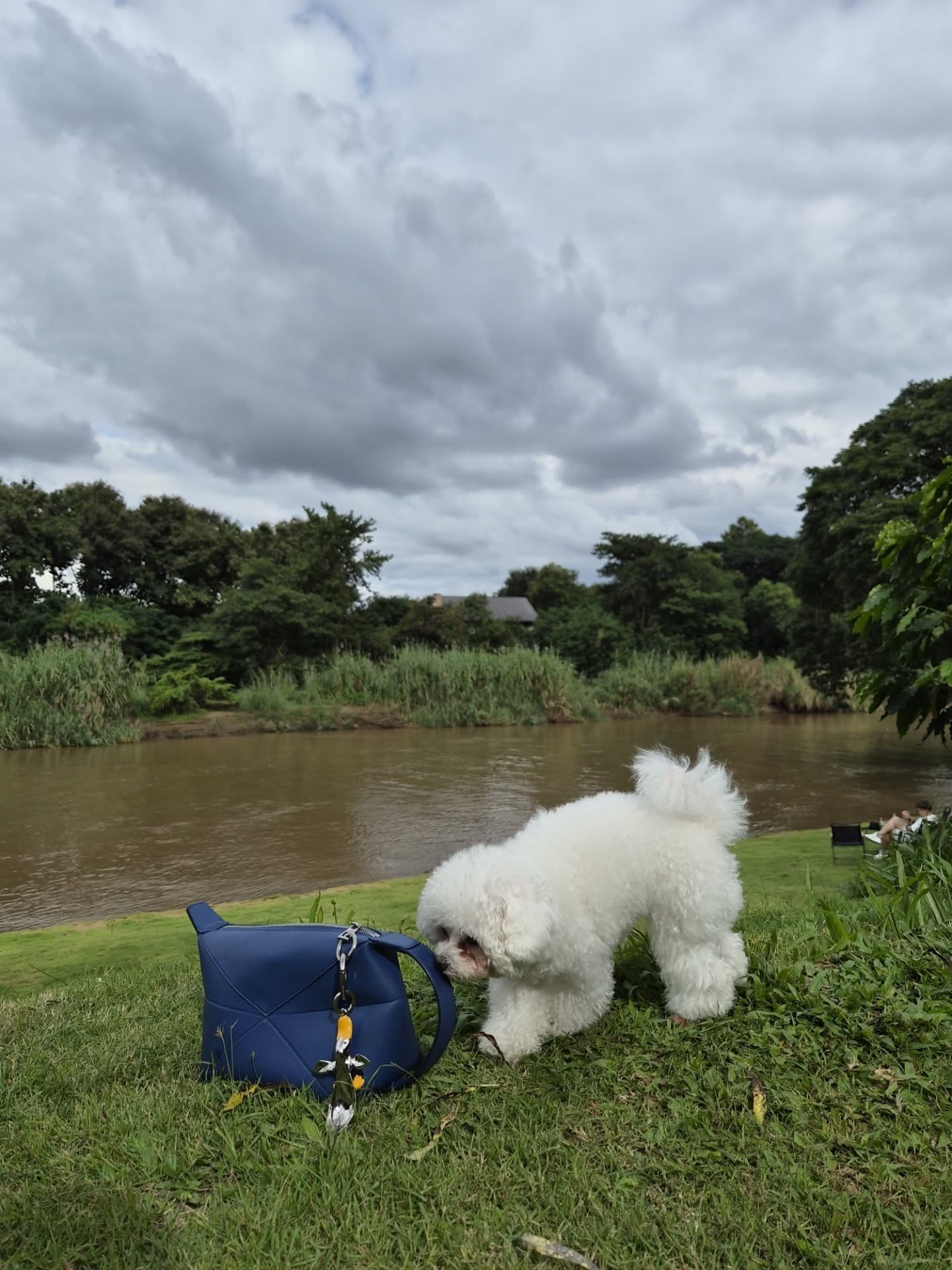 เต - ตะวัน วิหครัตน์