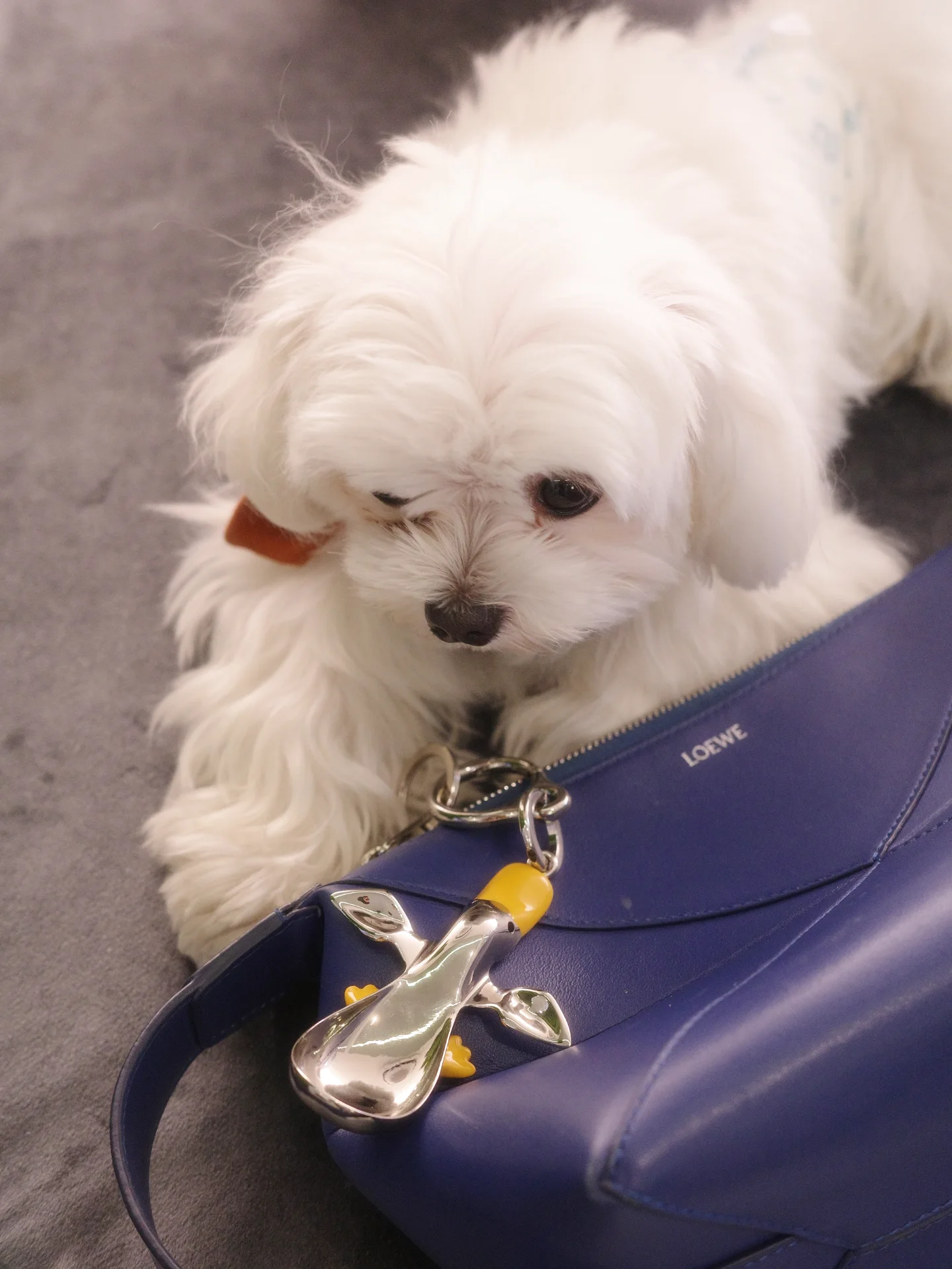 เต - ตะวัน วิหครัตน์