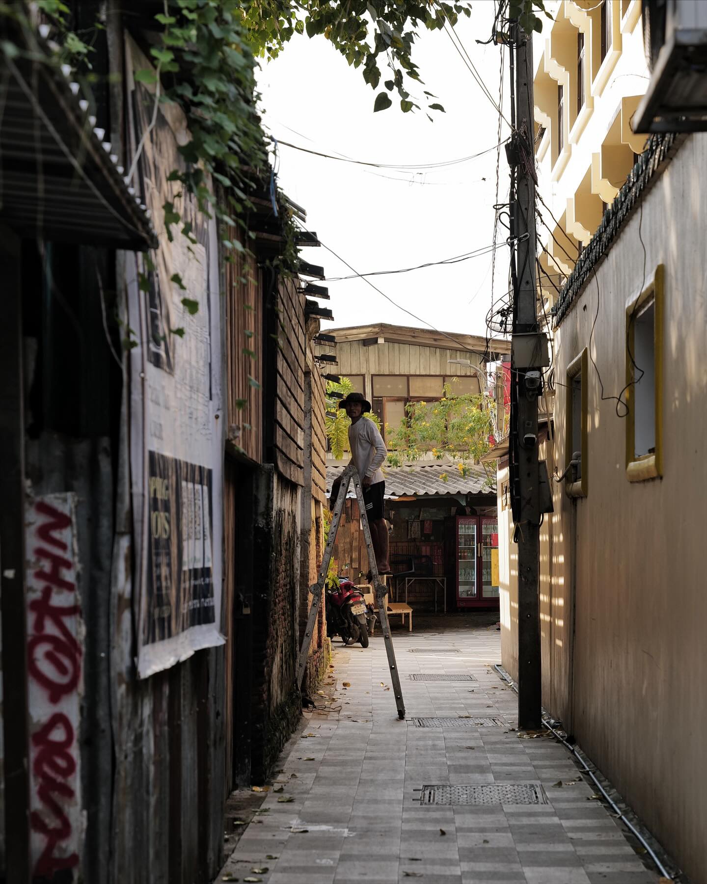 เต - ตะวัน วิหครัตน์