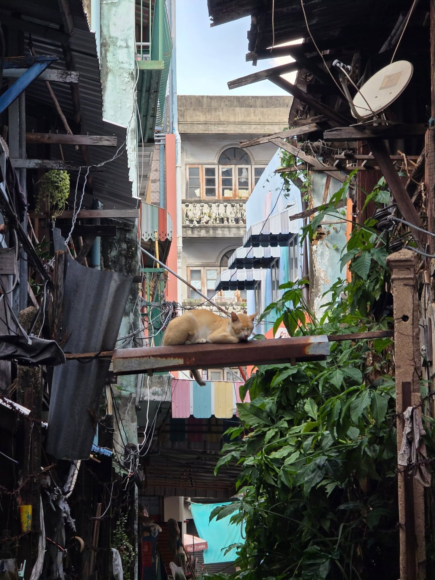 เต - ตะวัน วิหครัตน์