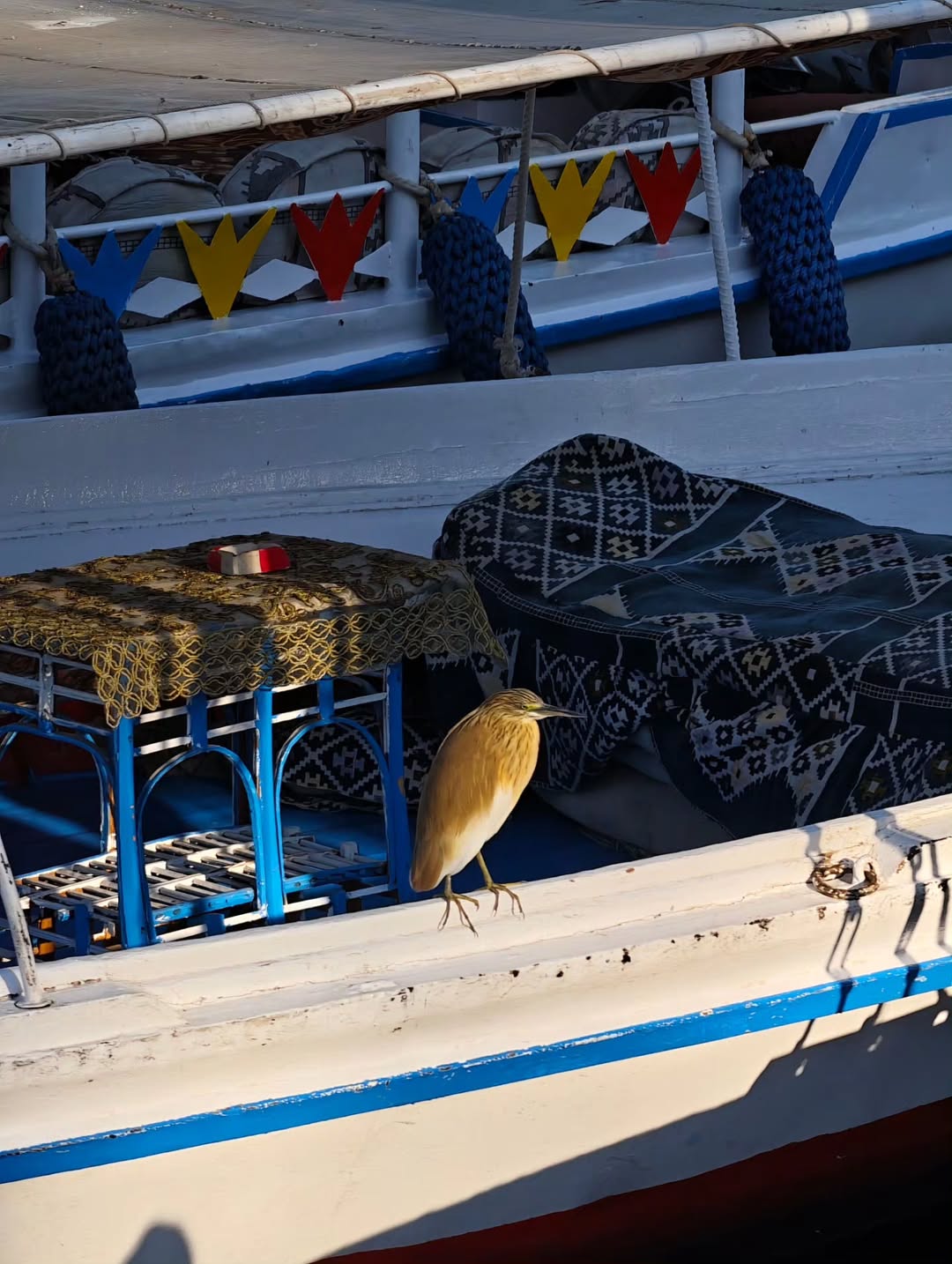 เต - ตะวัน วิหครัตน์