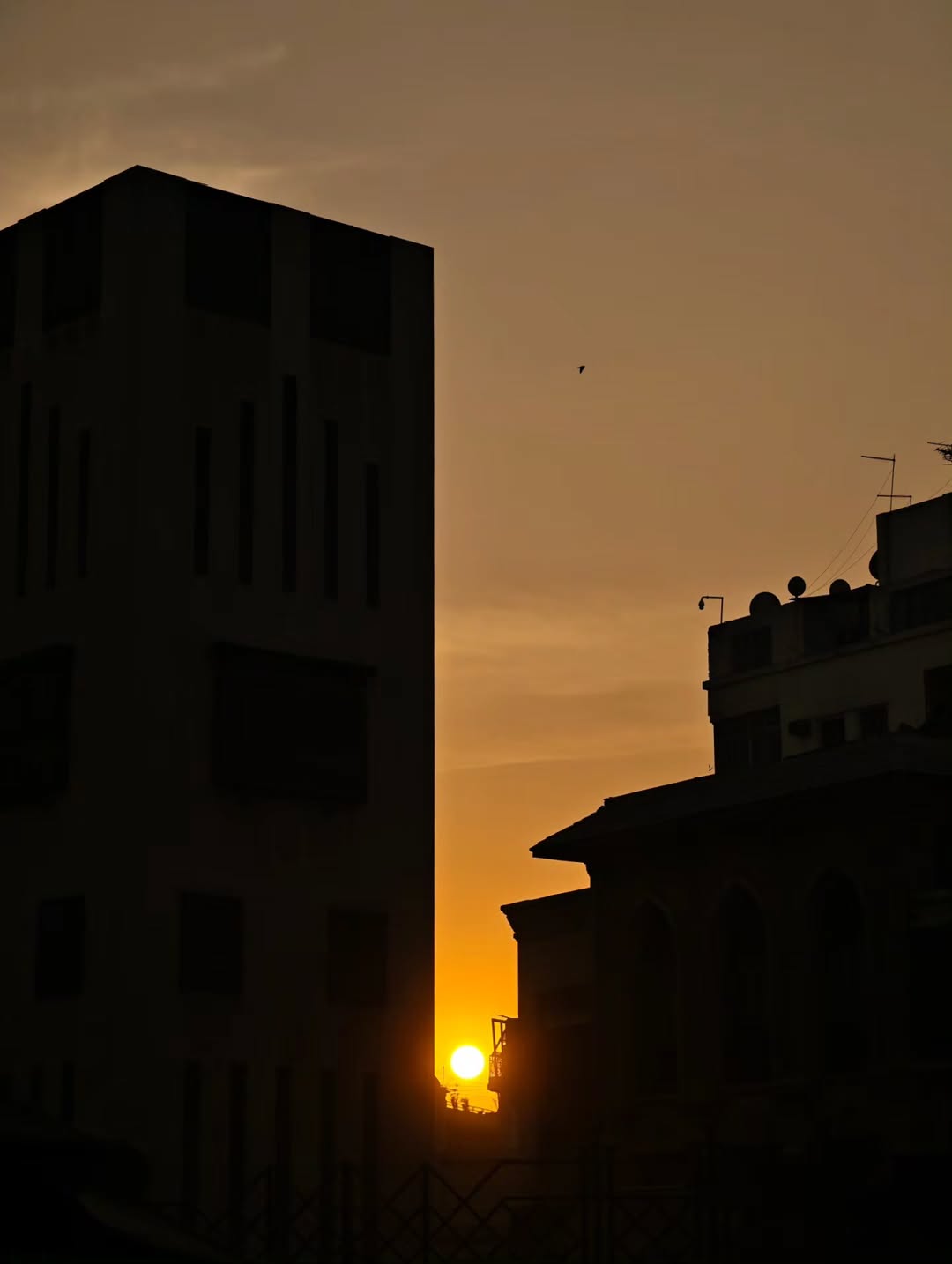 เต - ตะวัน วิหครัตน์