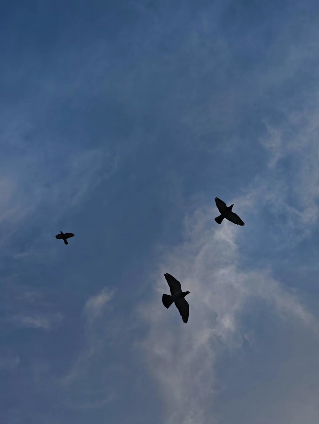 เต - ตะวัน วิหครัตน์