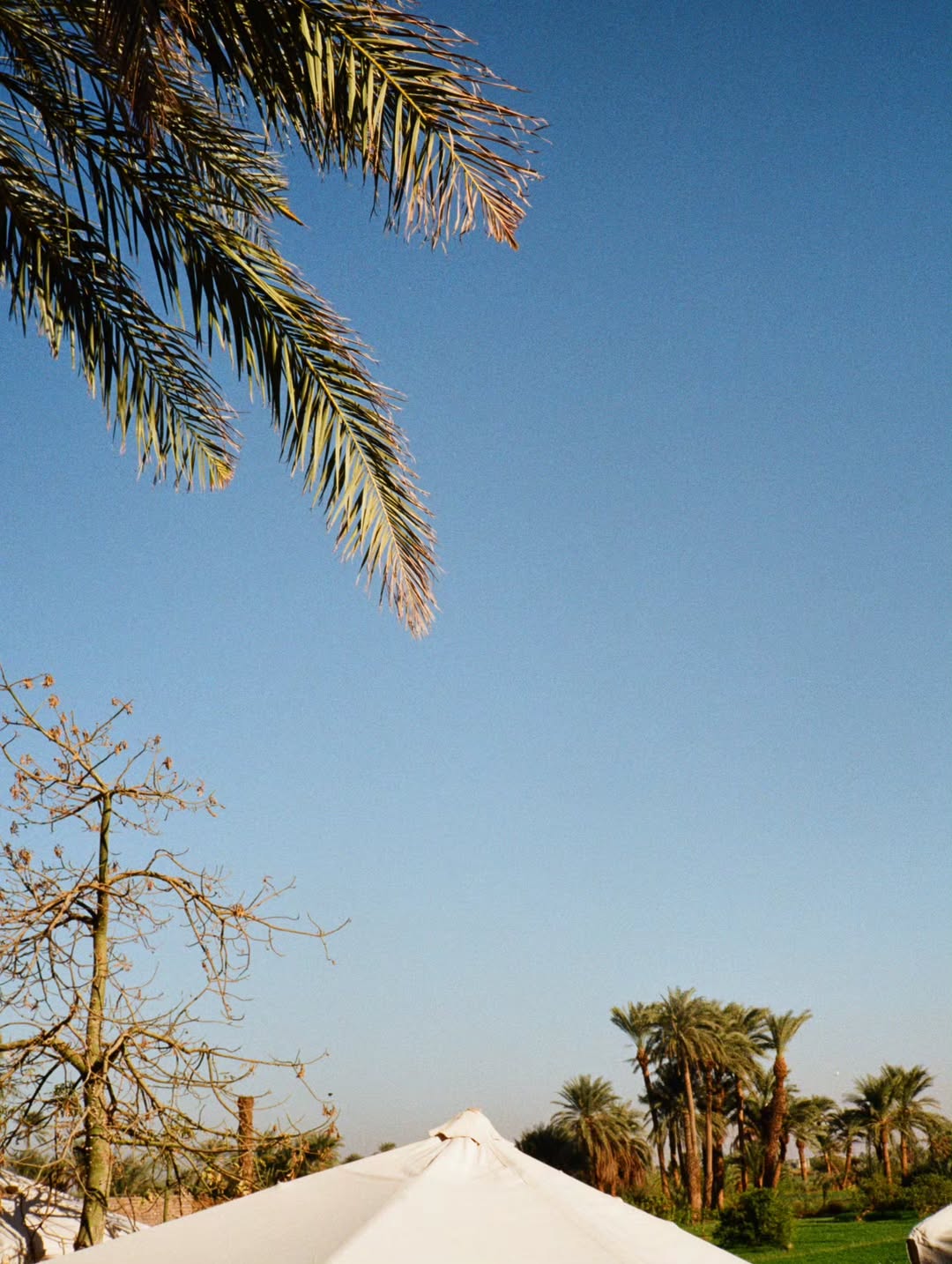 เต - ตะวัน วิหครัตน์