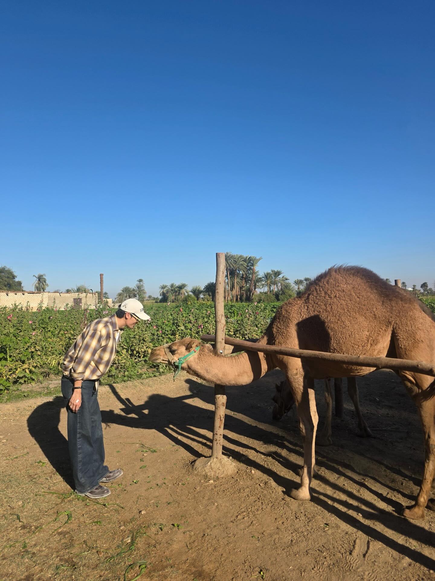 เต - ตะวัน วิหครัตน์