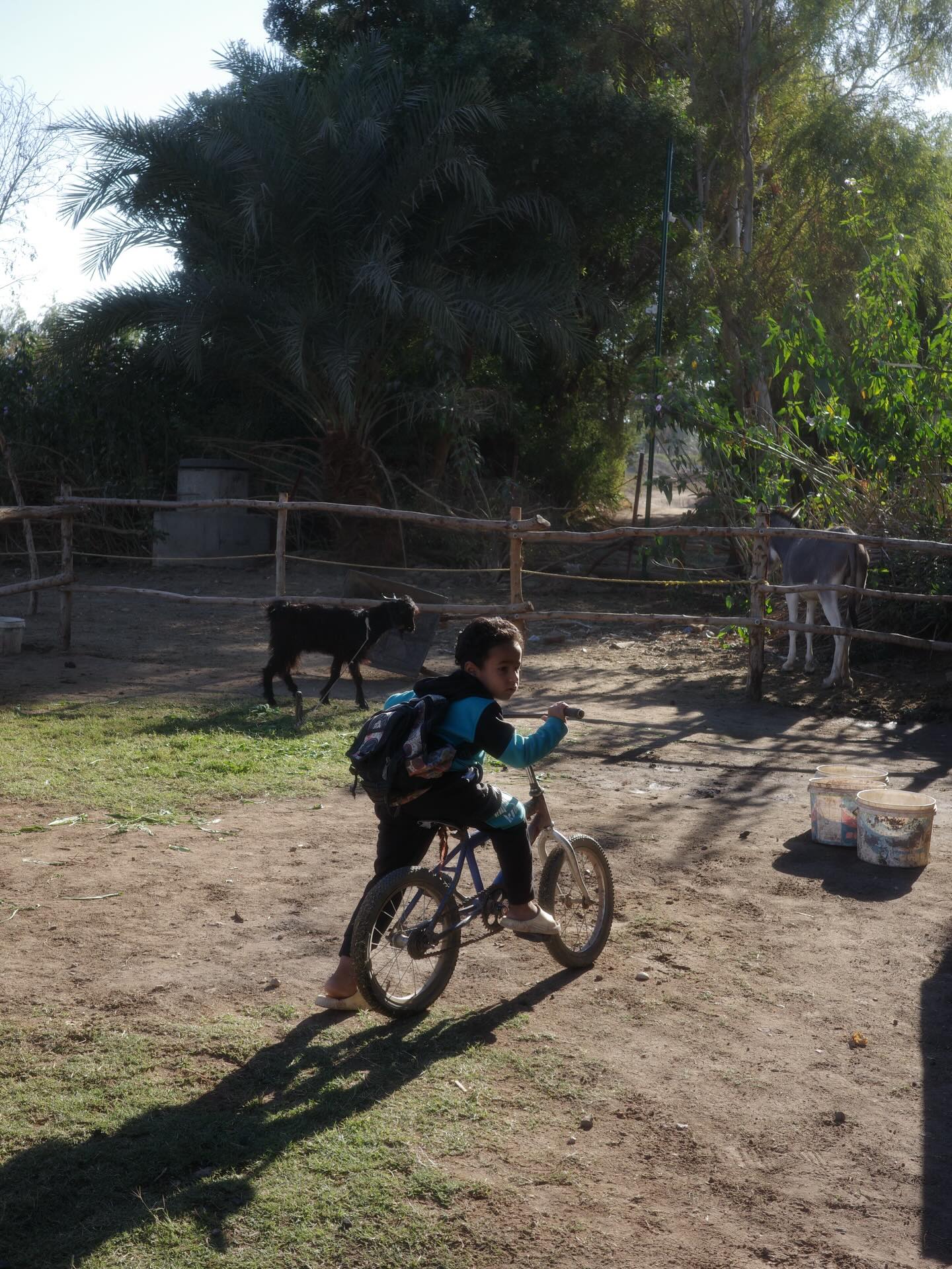 เต - ตะวัน วิหครัตน์