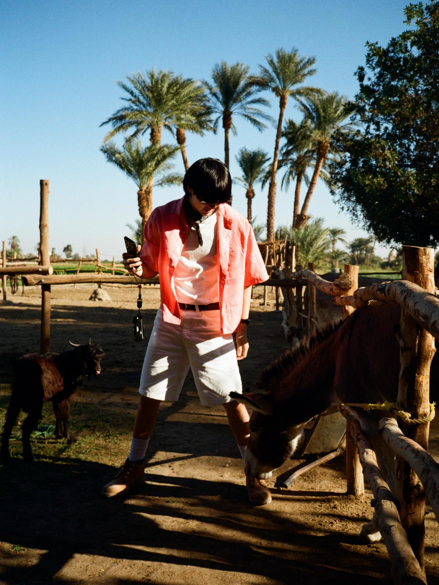 เต - ตะวัน วิหครัตน์