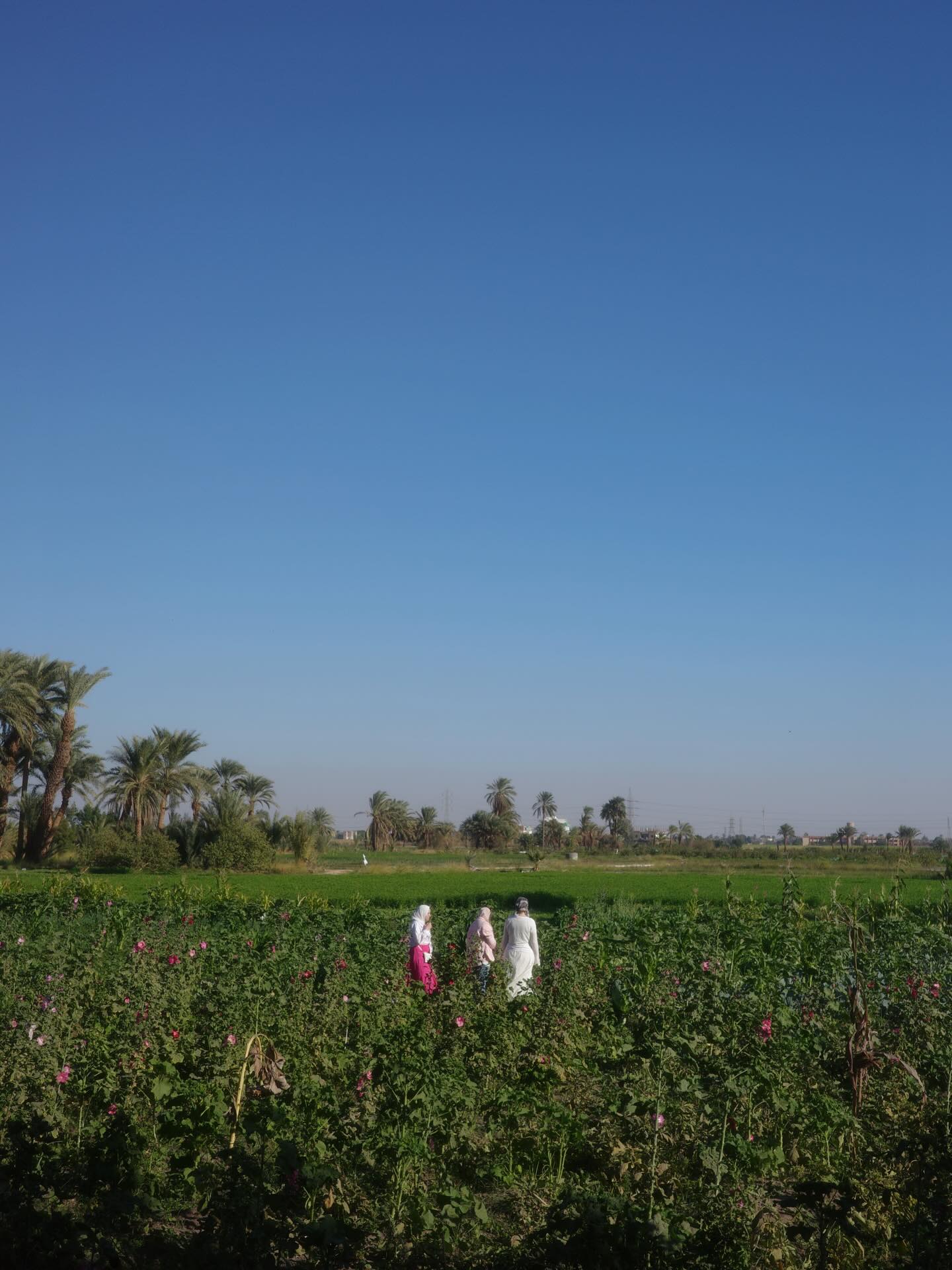 เต - ตะวัน วิหครัตน์