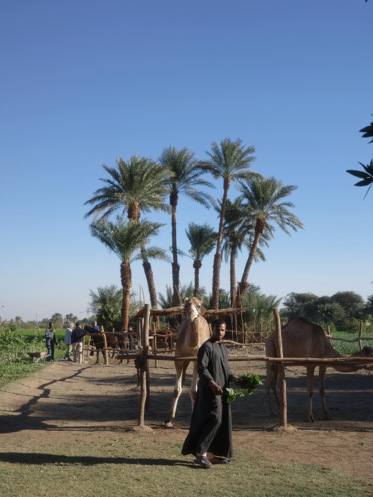 เต - ตะวัน วิหครัตน์