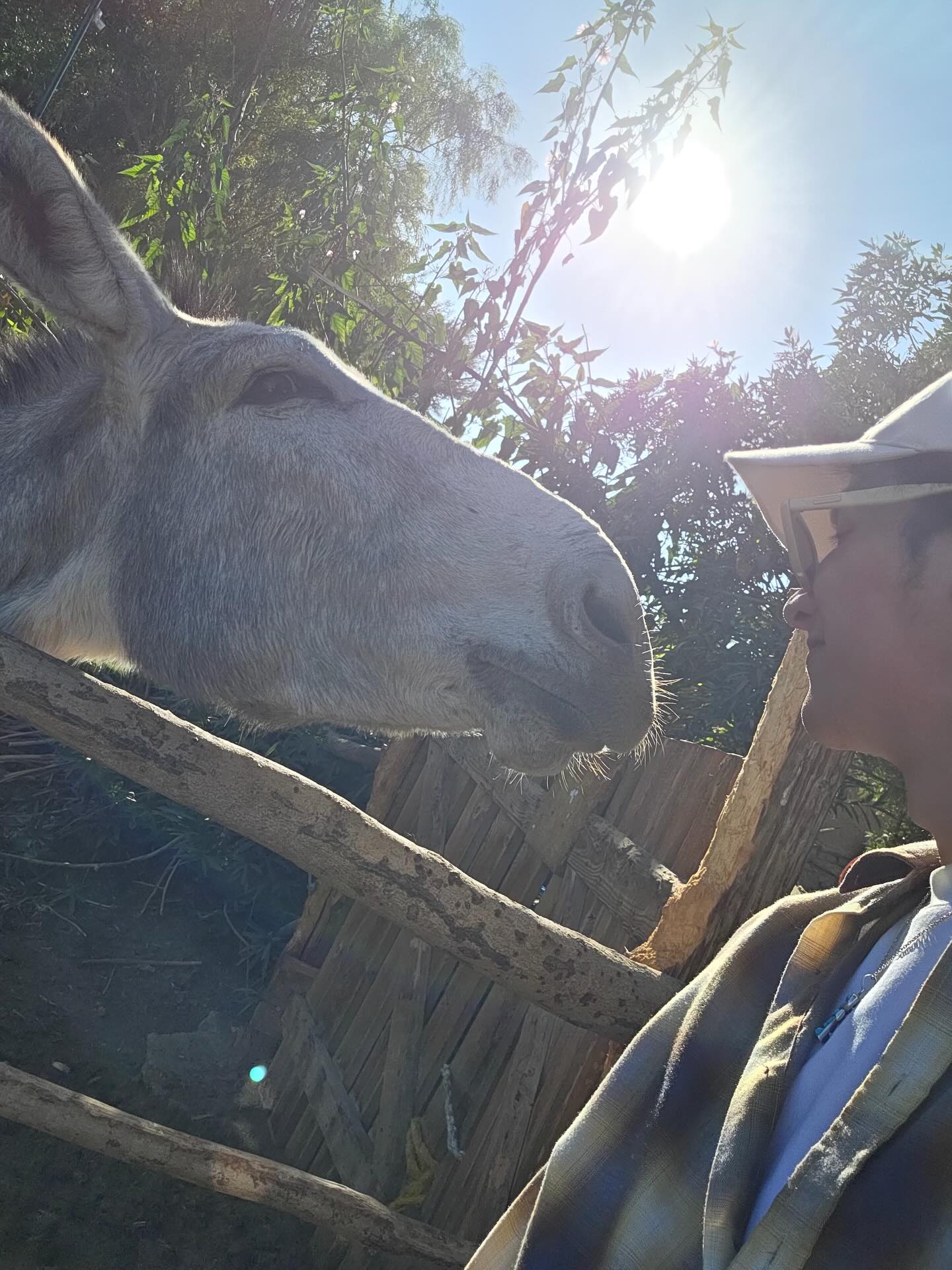 เต - ตะวัน วิหครัตน์