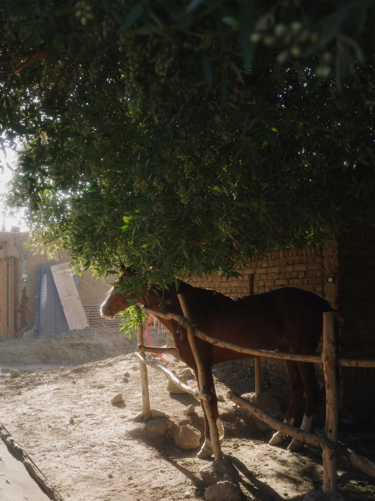 เต - ตะวัน วิหครัตน์