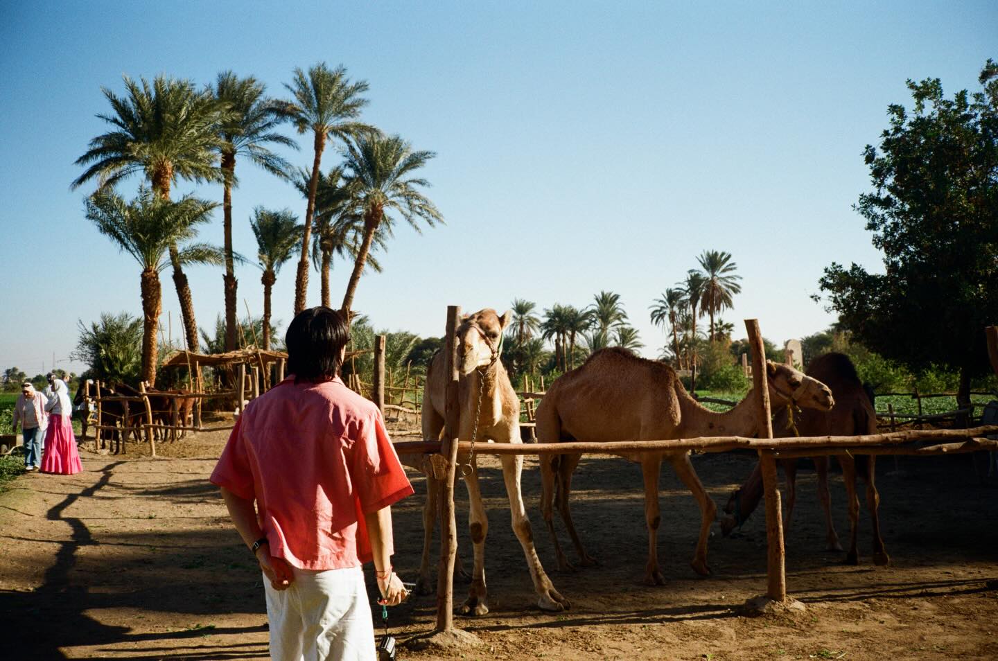 เต - ตะวัน วิหครัตน์