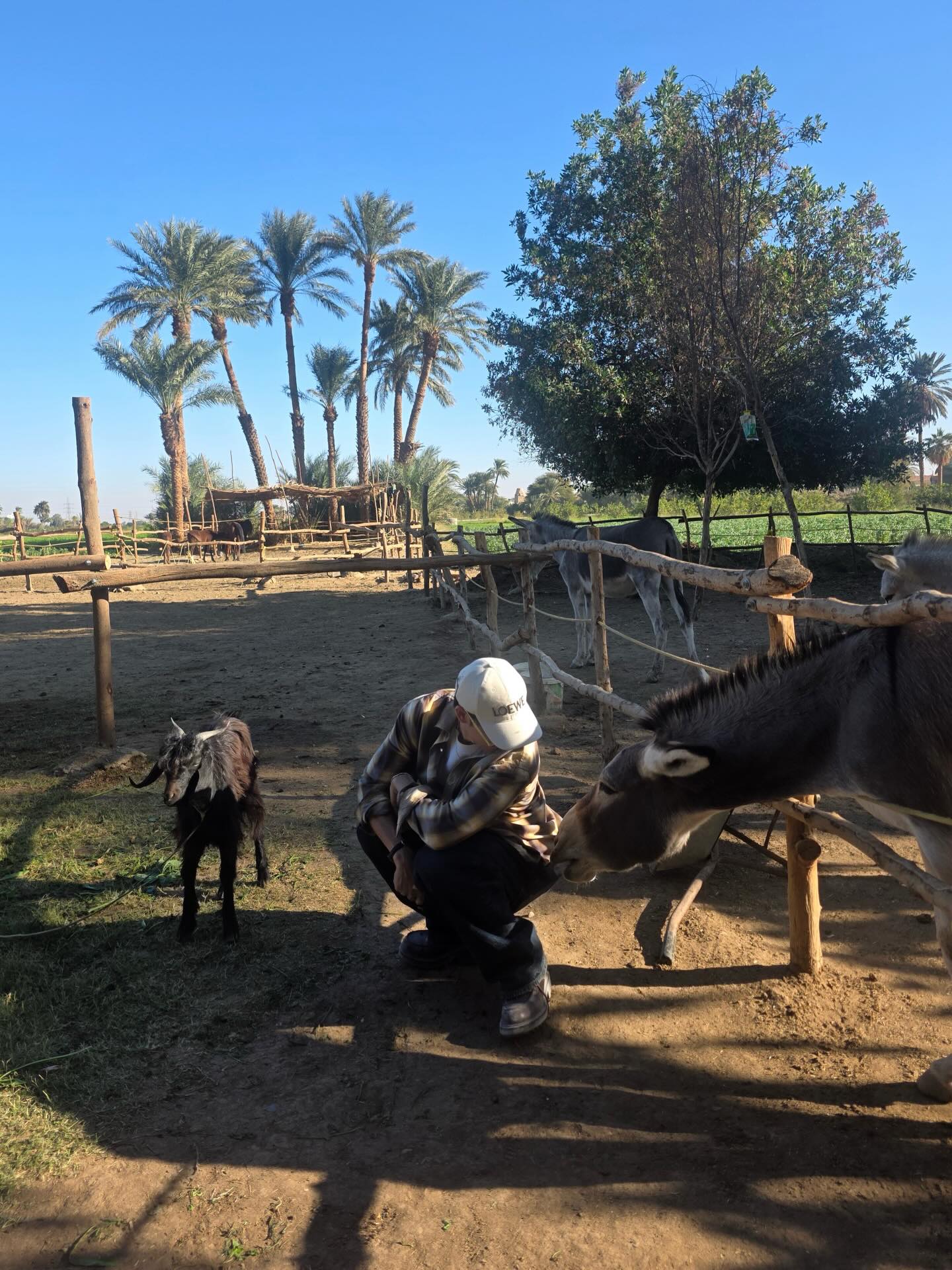 เต - ตะวัน วิหครัตน์