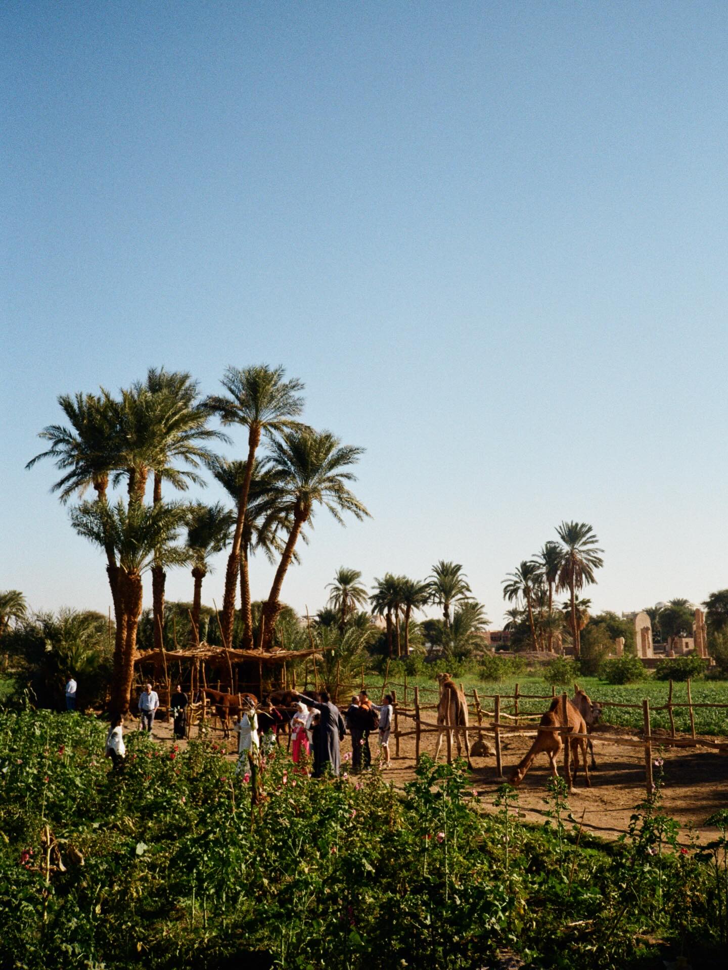 เต - ตะวัน วิหครัตน์