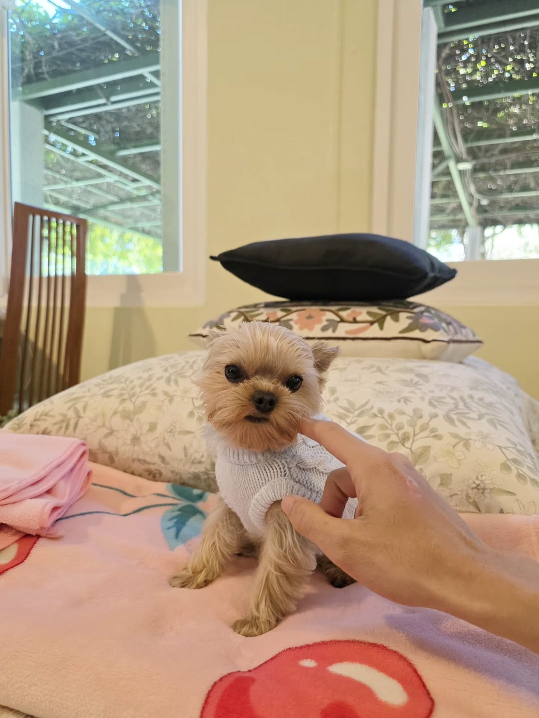 เต - ตะวัน วิหครัตน์