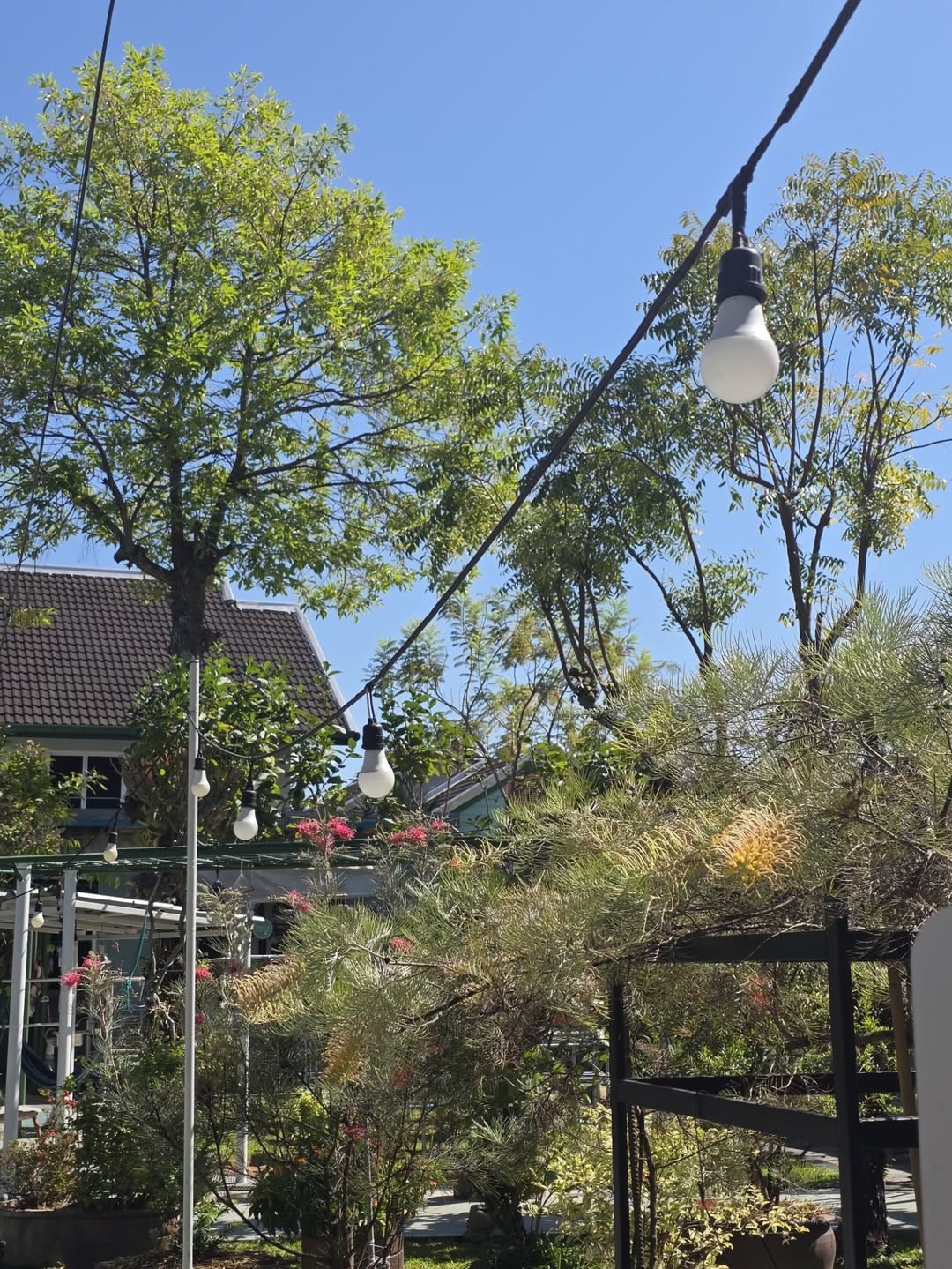 เต - ตะวัน วิหครัตน์