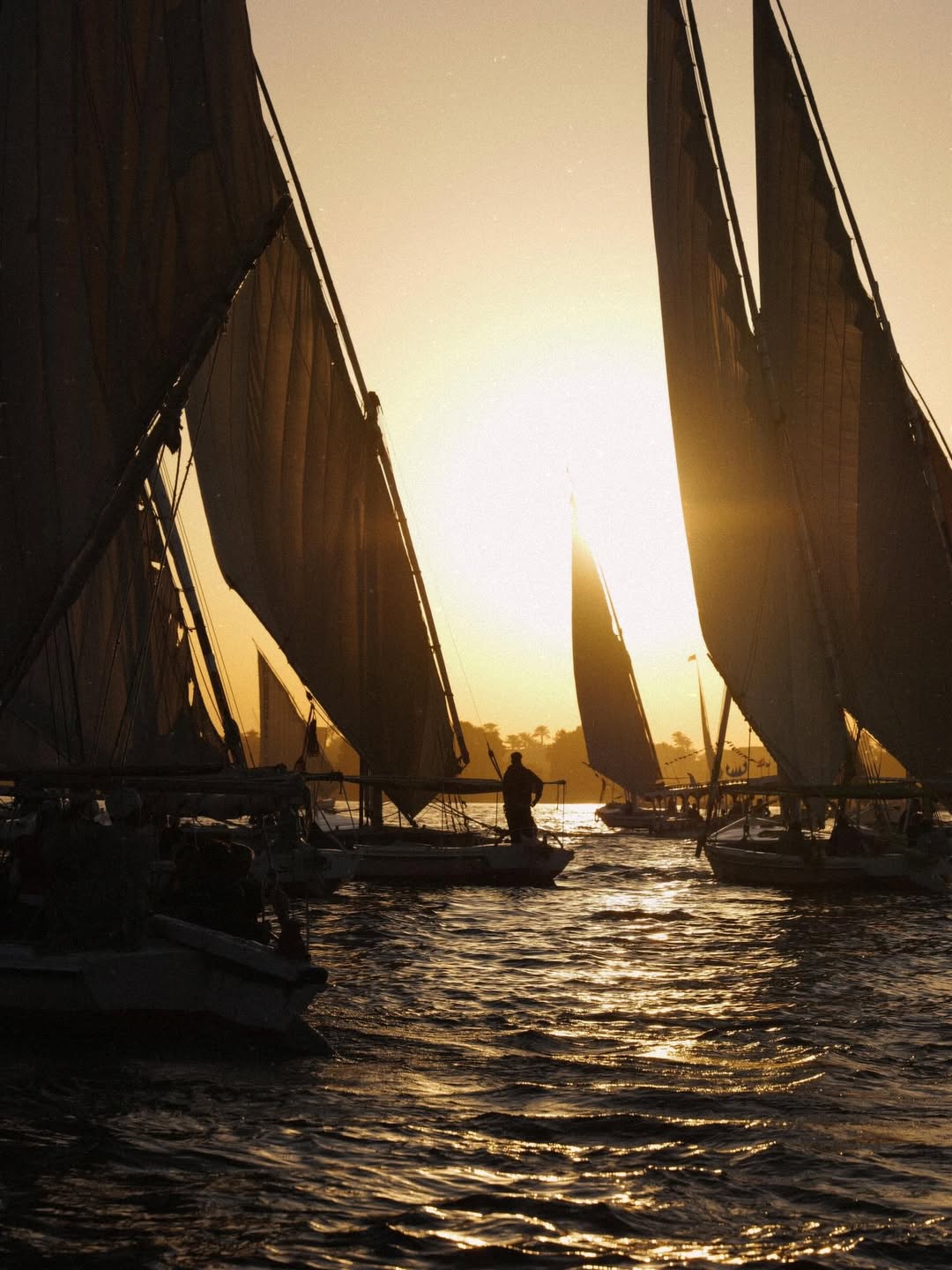 เต - ตะวัน วิหครัตน์