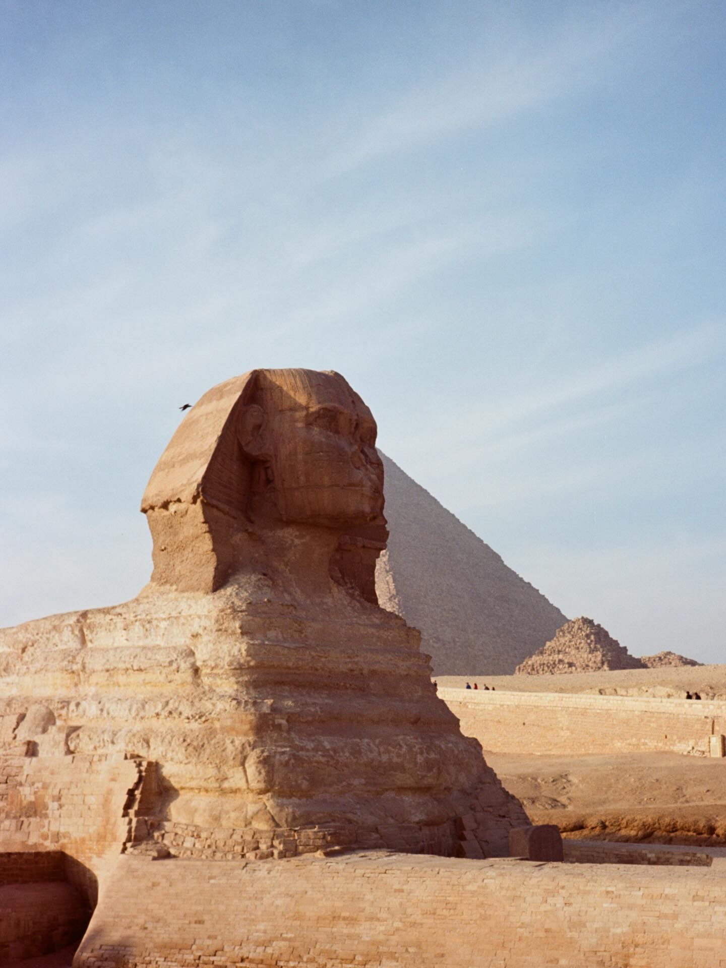 เต - ตะวัน วิหครัตน์