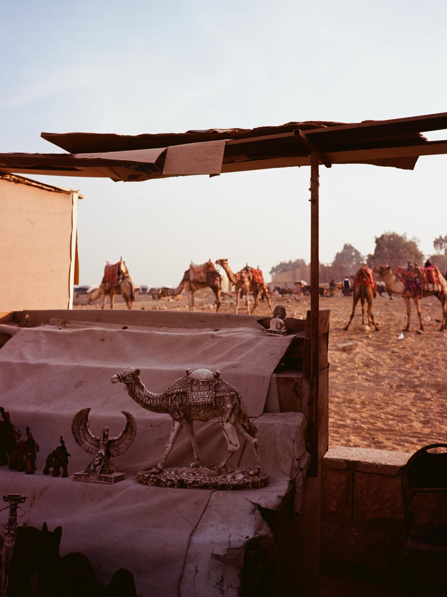 เต - ตะวัน วิหครัตน์