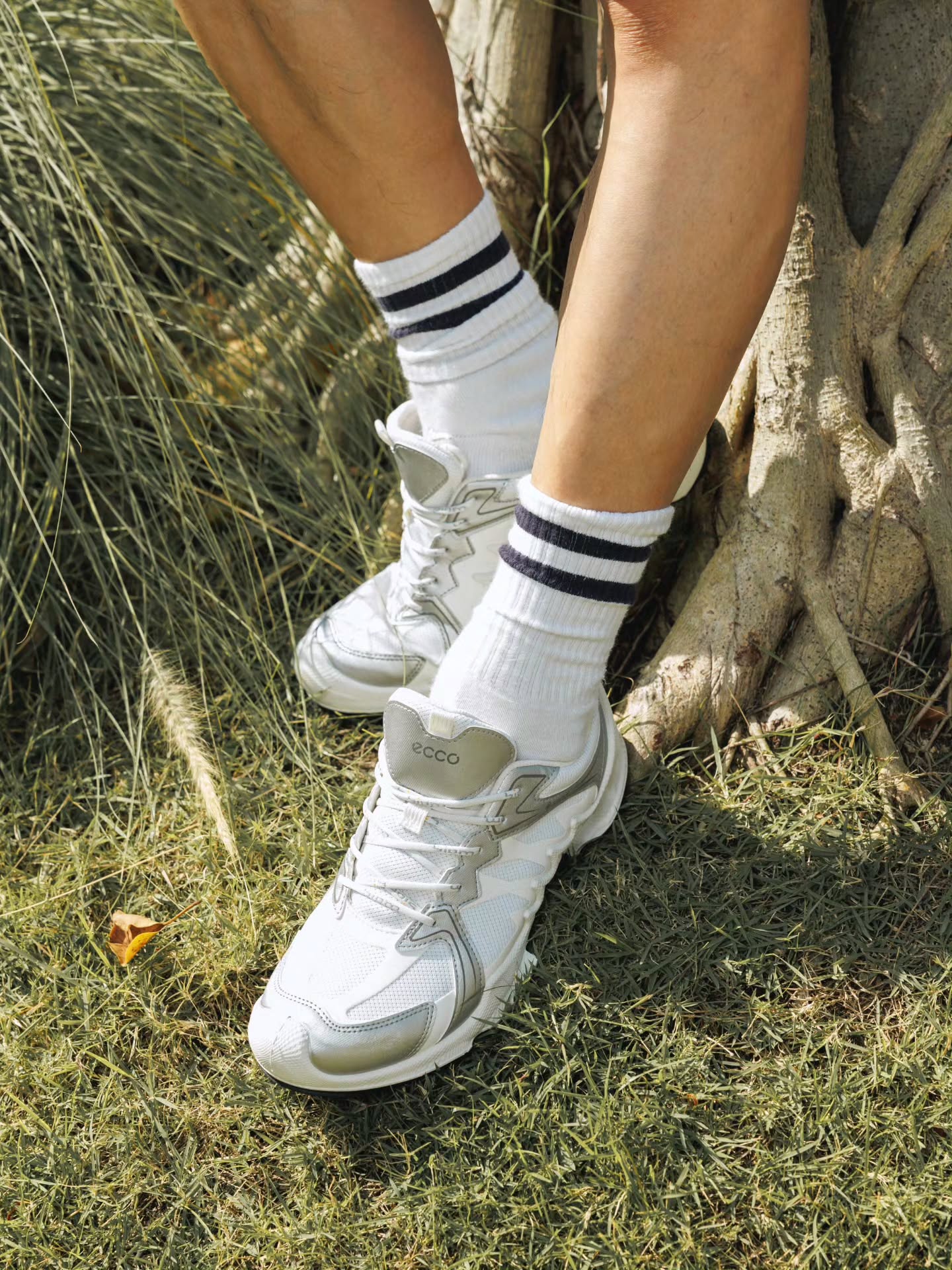 เต - ตะวัน วิหครัตน์