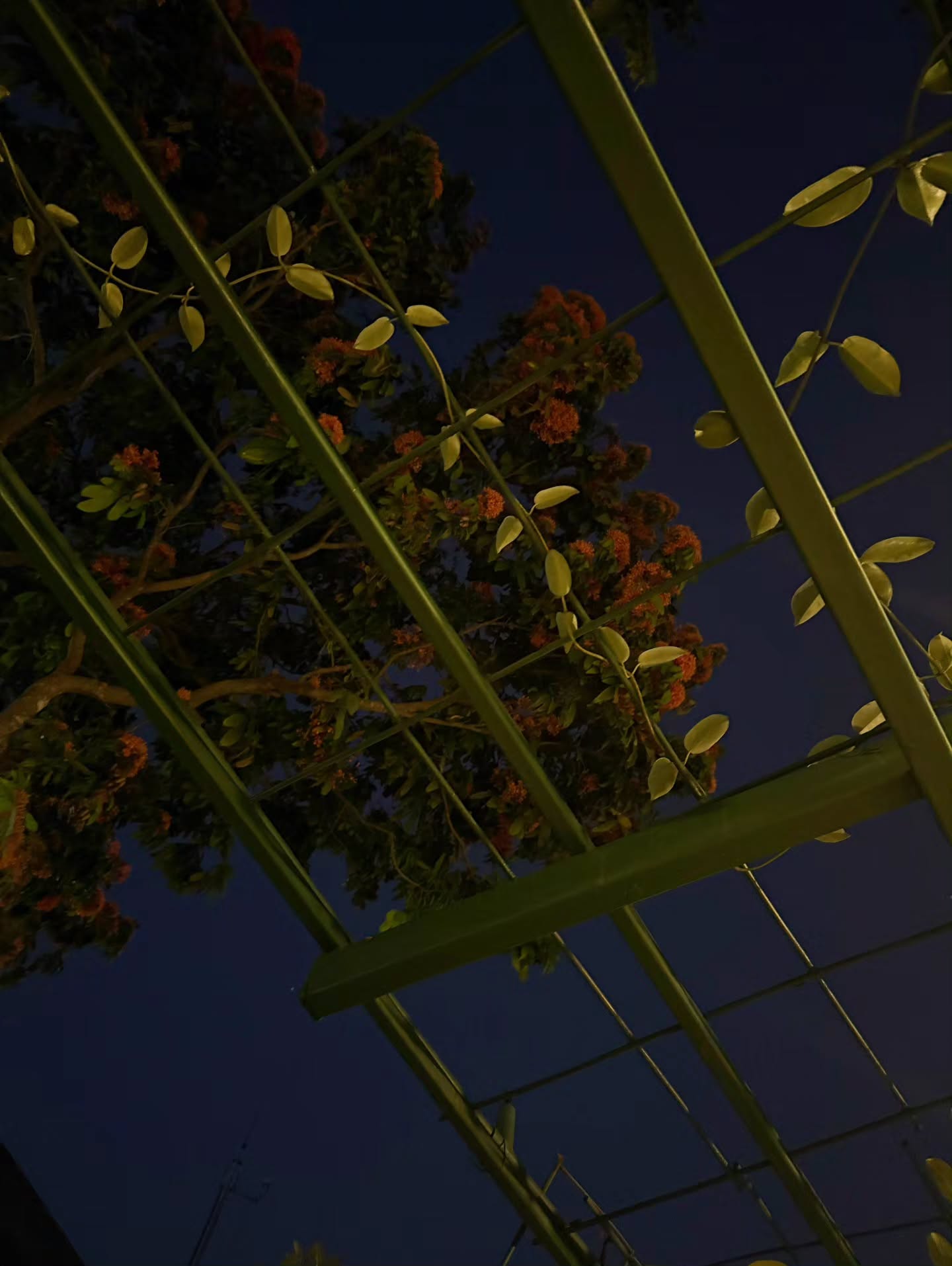 เต - ตะวัน วิหครัตน์