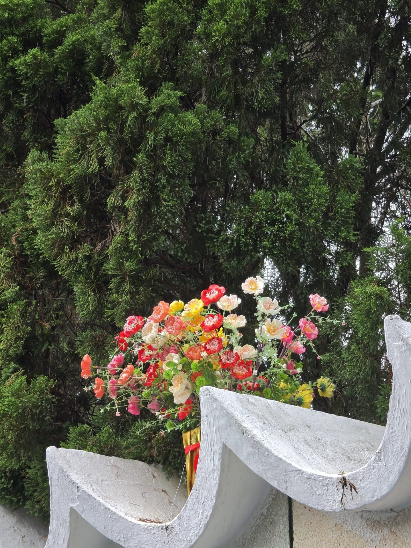 เต - ตะวัน วิหครัตน์