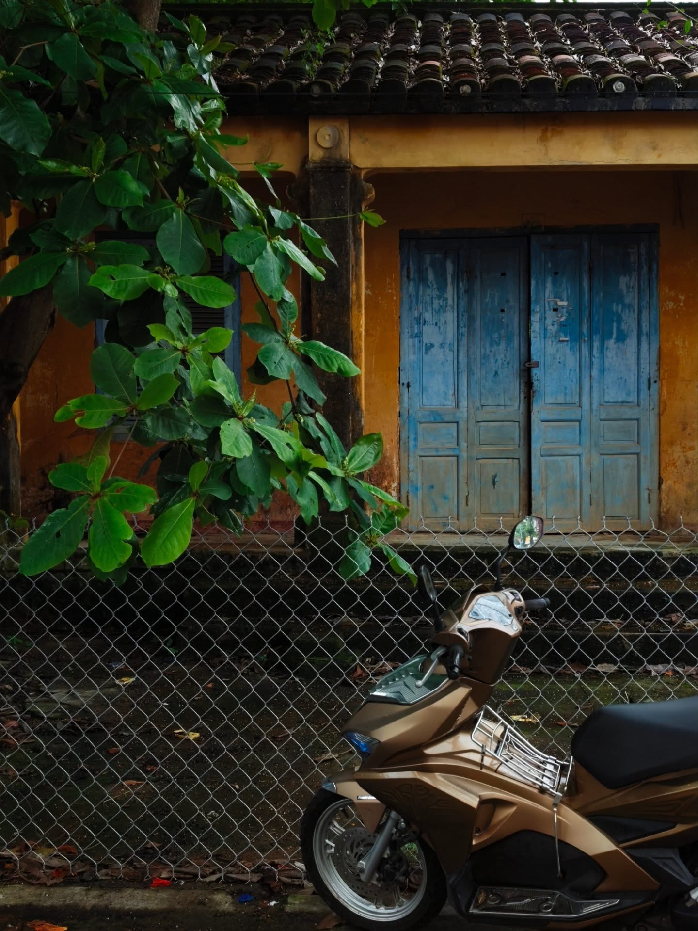 เต - ตะวัน วิหครัตน์