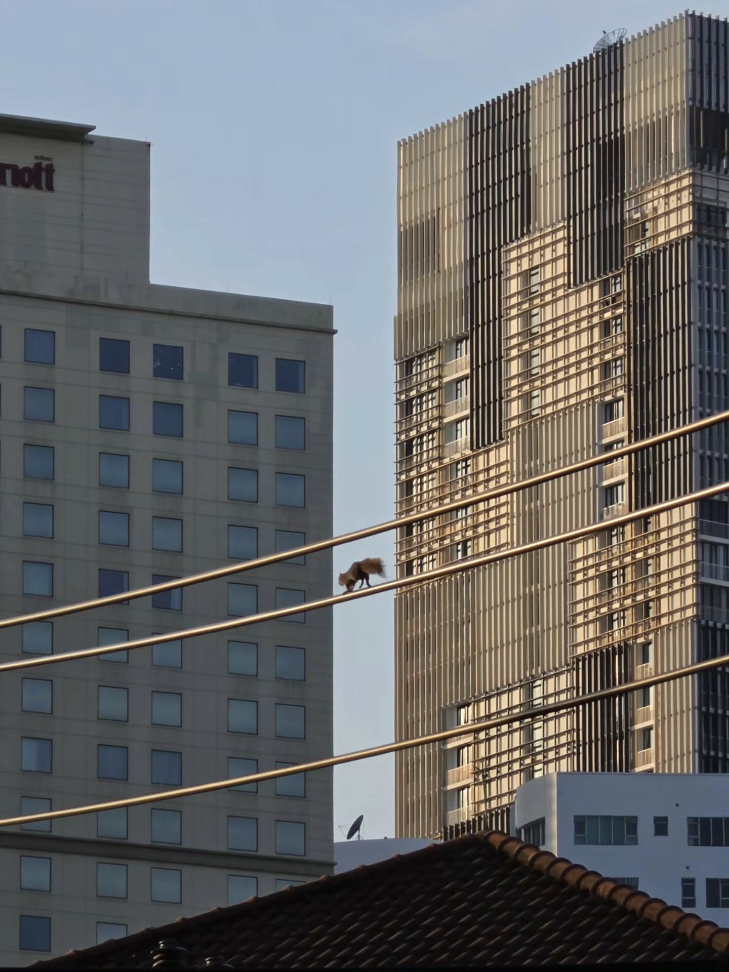 เต - ตะวัน วิหครัตน์