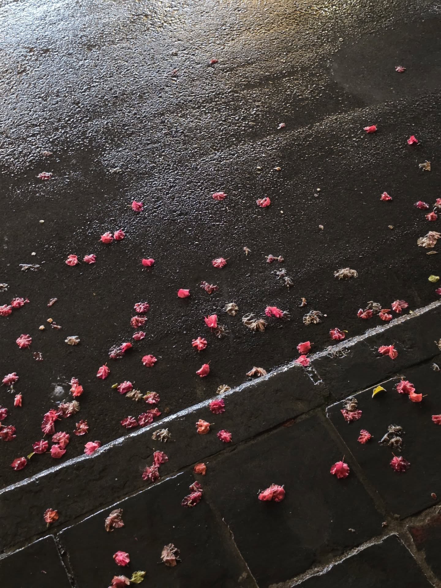 เต - ตะวัน วิหครัตน์