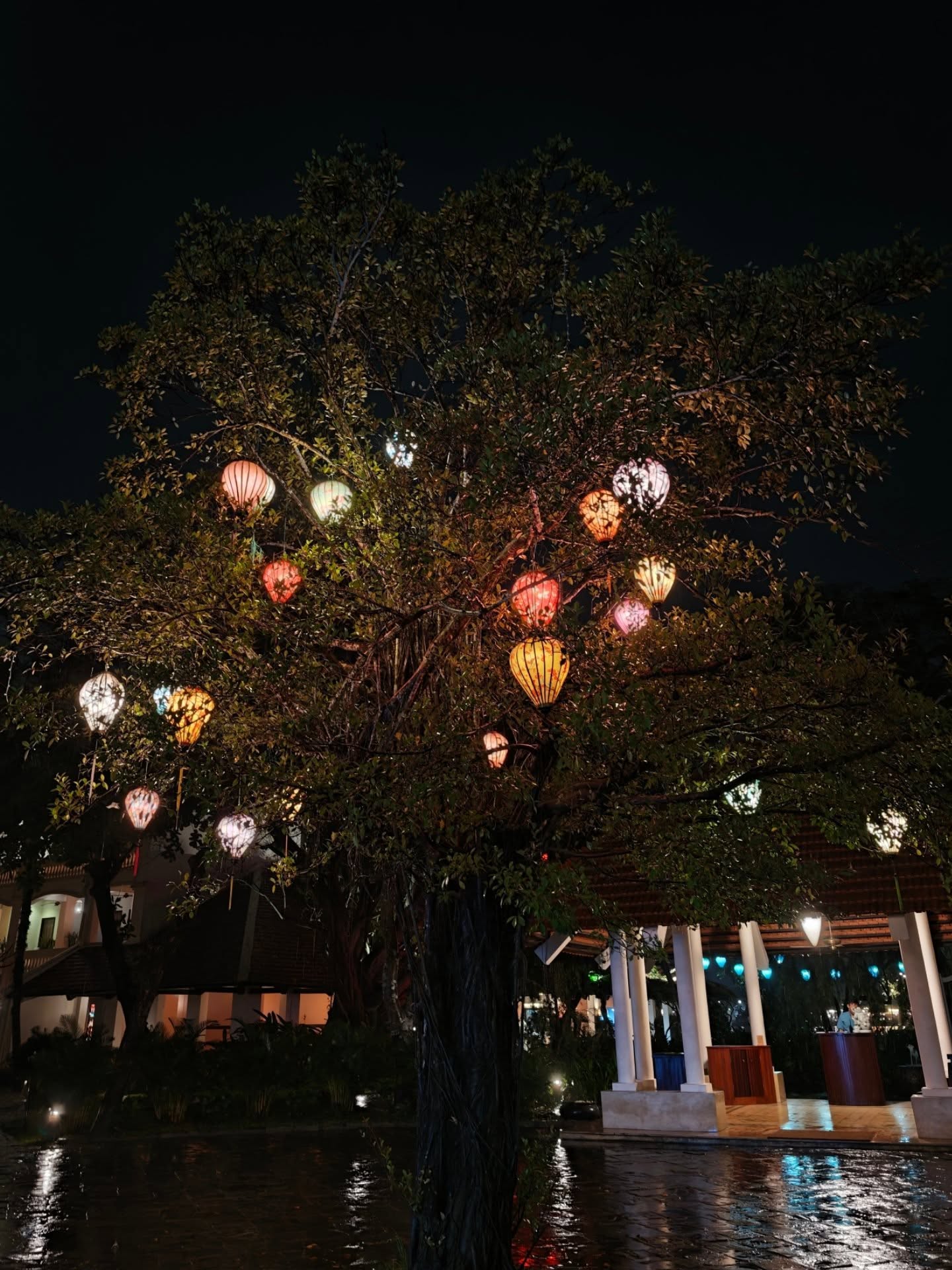 เต - ตะวัน วิหครัตน์