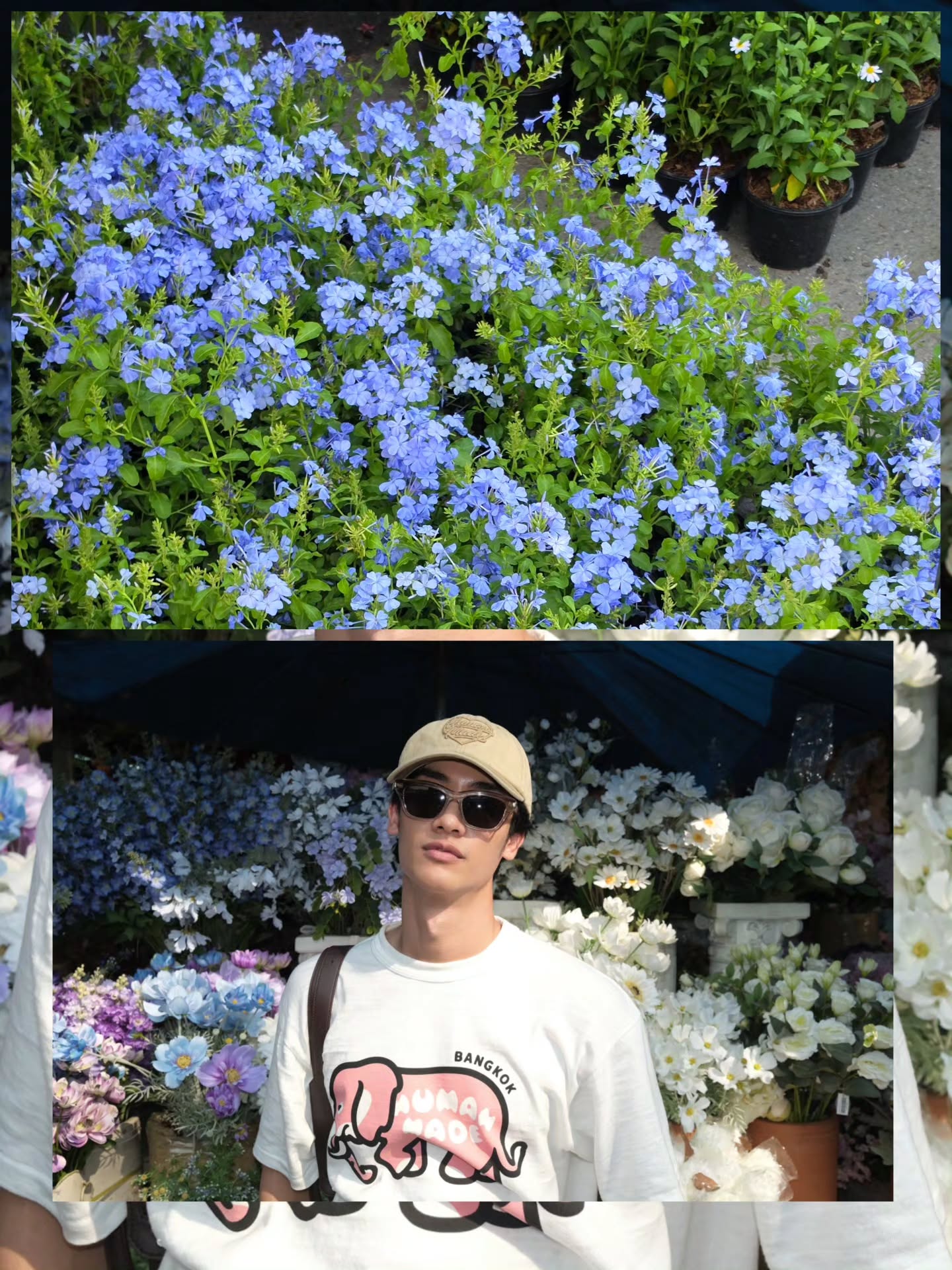 เต - ตะวัน วิหครัตน์