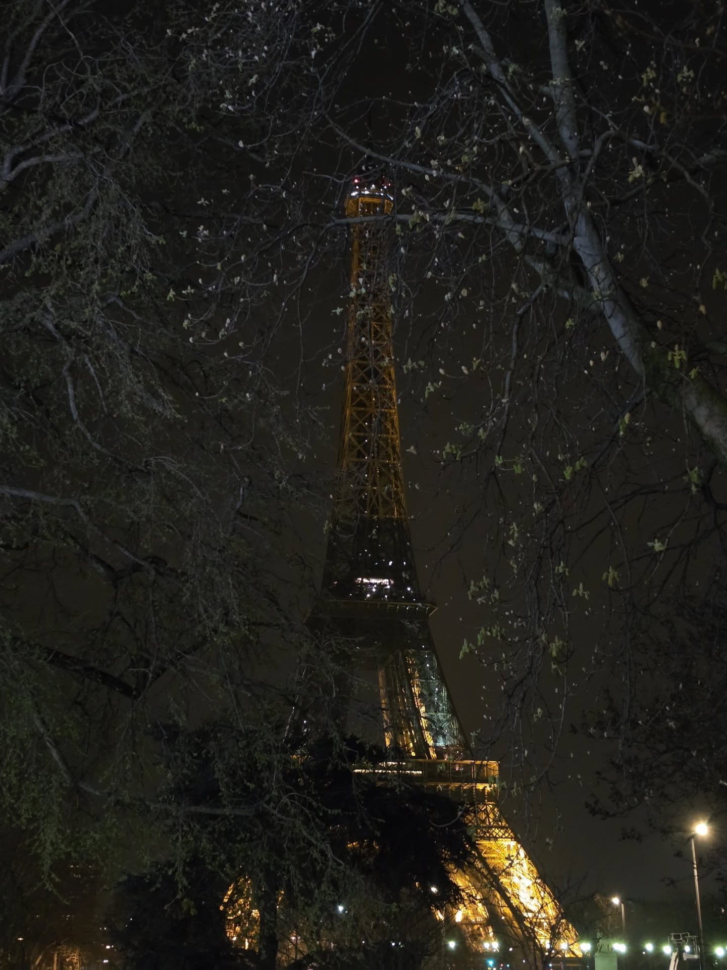 เต - ตะวัน วิหครัตน์