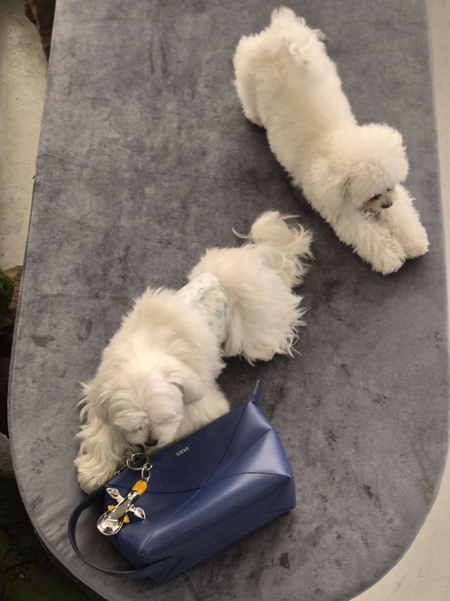 เต - ตะวัน วิหครัตน์