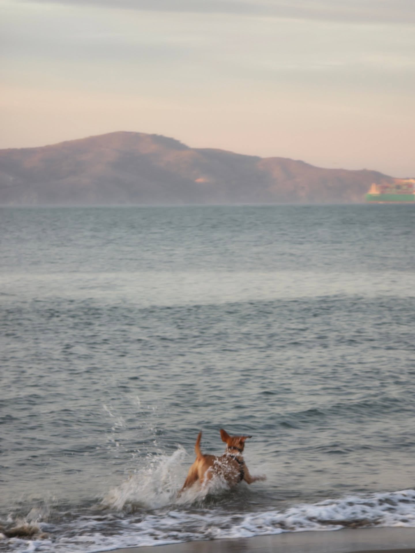 เต - ตะวัน วิหครัตน์