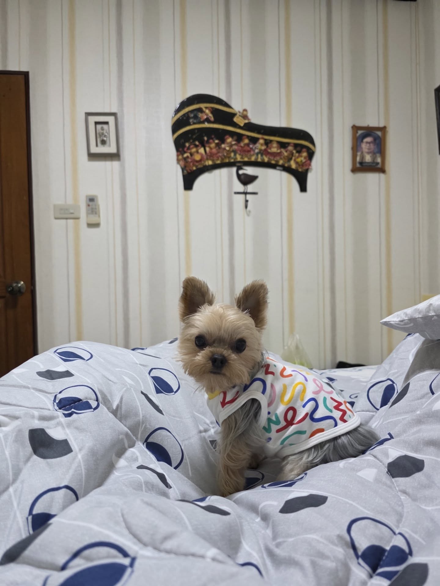 เต - ตะวัน วิหครัตน์