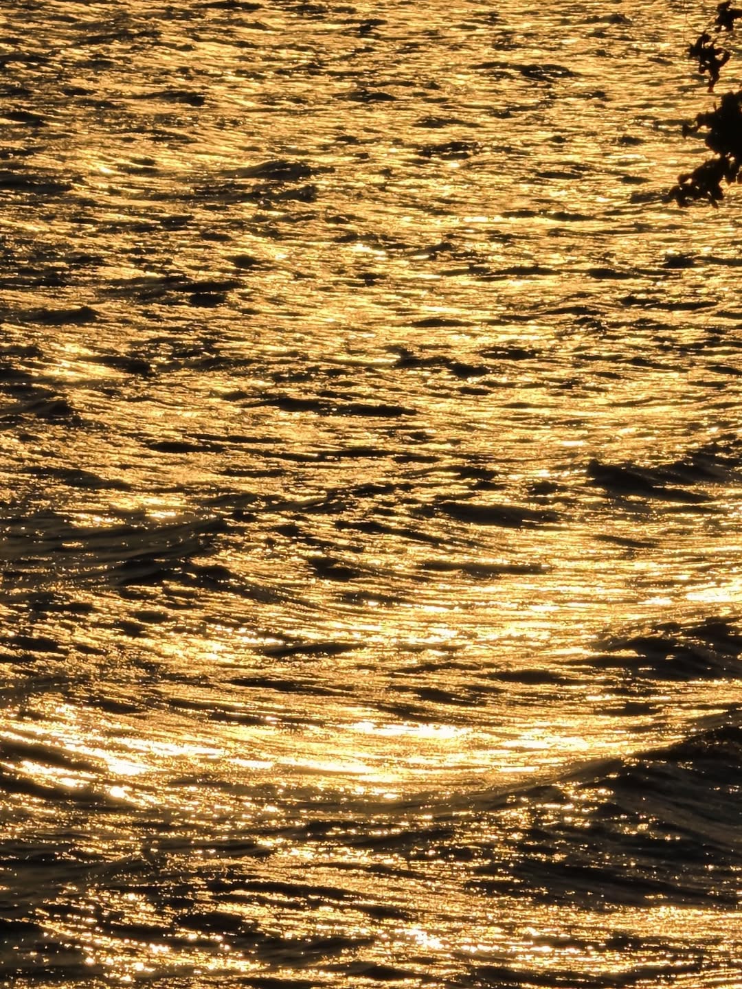 เต - ตะวัน วิหครัตน์