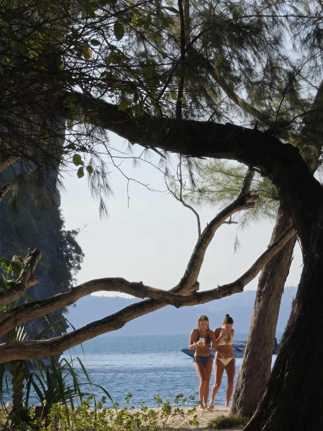 เต - ตะวัน วิหครัตน์