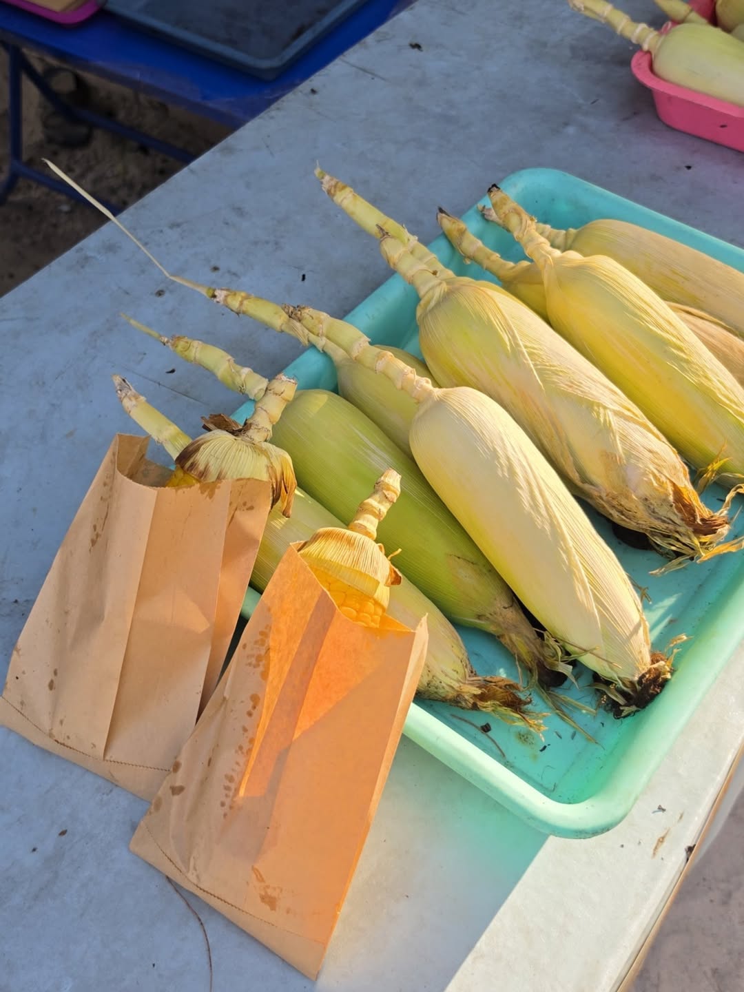 เต - ตะวัน วิหครัตน์